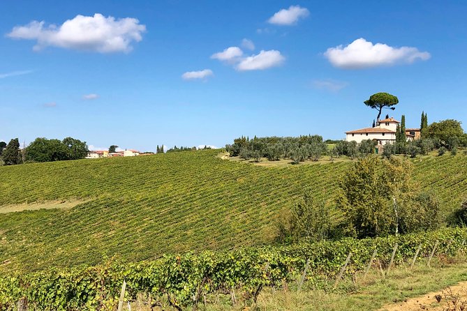 Sunset VIP Chianti Wine Tour - Tour Overview