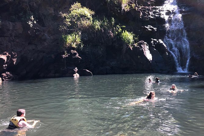 Surf and SeaTurtles Oahu Tour