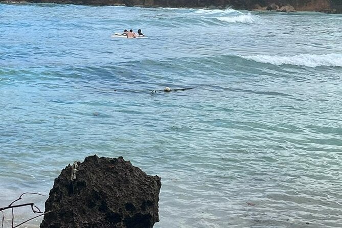 Surfing and Motorized Canoeing Private Tour in Jamaica