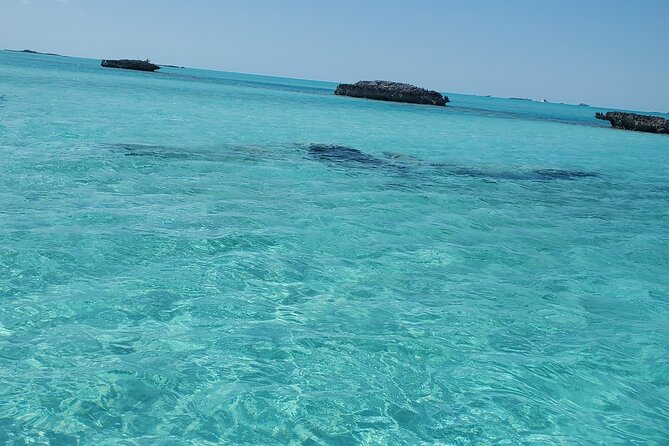 Swiming Pigs and Shark Tour Nassau to Exuma by Plane and Boat