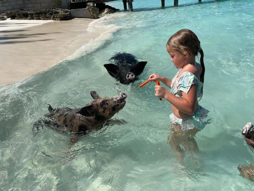 Swimming Pigs & Turtles Ultimate Excursion by Boat 3 Islands