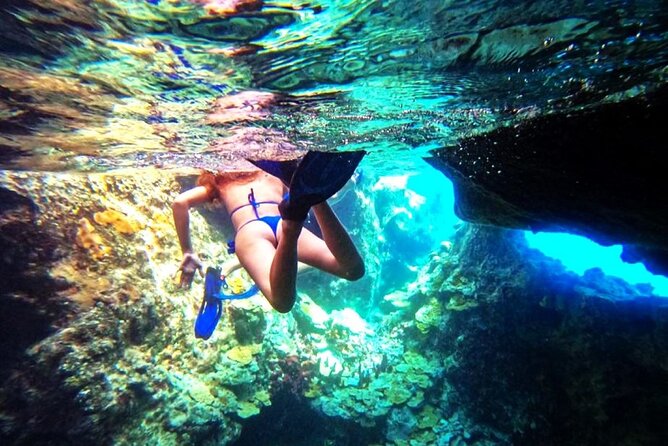 Swimming With Pigs in Exuma Private Tour From Nassau