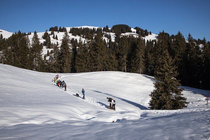 Swiss Ski Experience in Engelberg