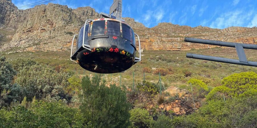 Table Mountain, Cape Point, and Penguins Group Tour