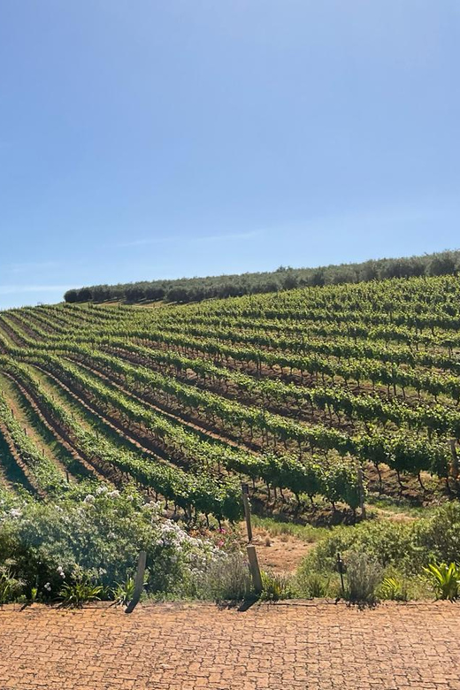 Table Mountain & Constantia Wine Tasting Full Day Tour