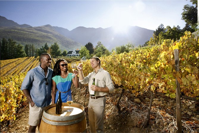 Table Mountain, Kirstenbosch and Constantia Winelands Full Day Private Tour