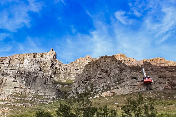 Table Mountain, Signal Hill, Chapmans Peak, Cape Point & Penguins