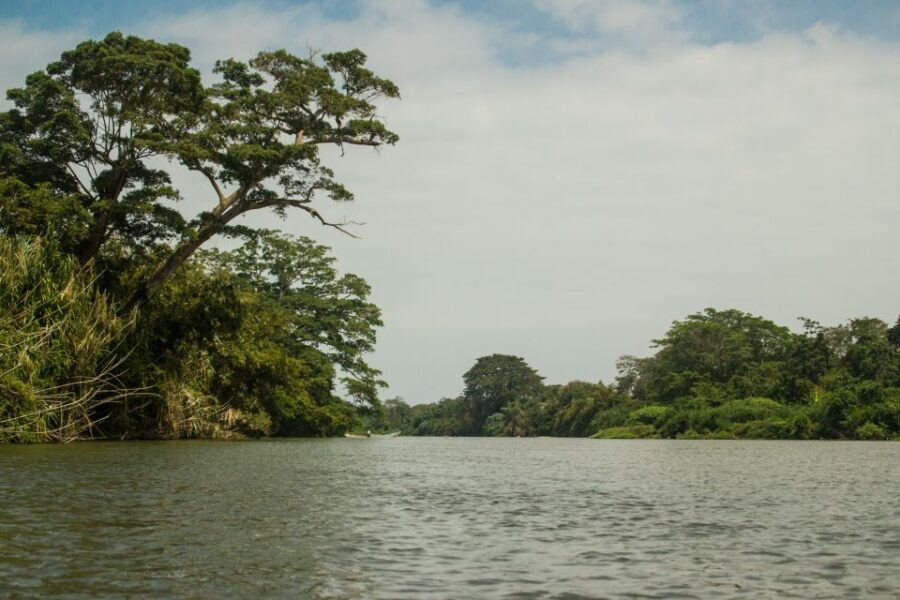 Taironaka: Ruins and Tubing at Don Diego River