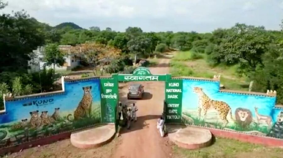 3 Best National Park Tours In India