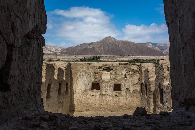 Tambo Colorado Guided Tour From Paracas - Exploring the Ancient Incan Settlement