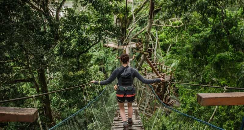 Tambopata Excursion 5D/4N, Parrot Clay Lick – Monkey Island
