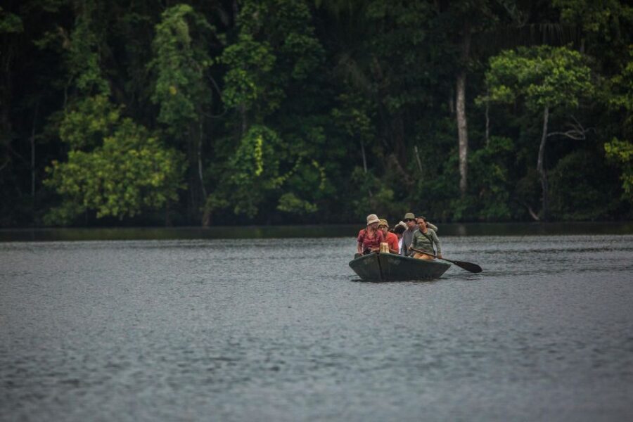 Tambopata Macaw Clay Lick 3 Days/1 Nights