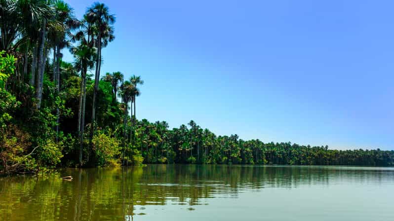 Tambopata Safari Animals 3D/2N