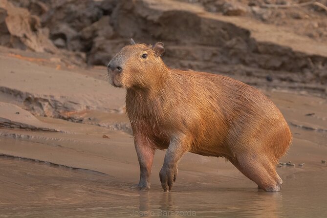 Tambopta National Reserve 5 Days Tour - Tour Overview and Details