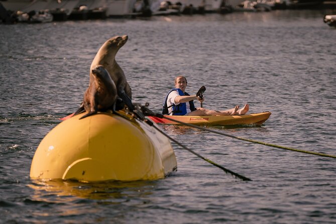 Tandem Kayak Rentals in Mission Bay - Rental Details