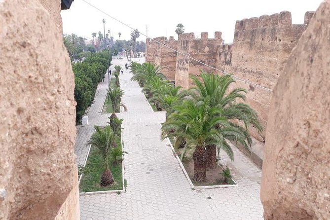 Taroudant & Tiout Guided Day Trip Including Lunch. - Tour Overview
