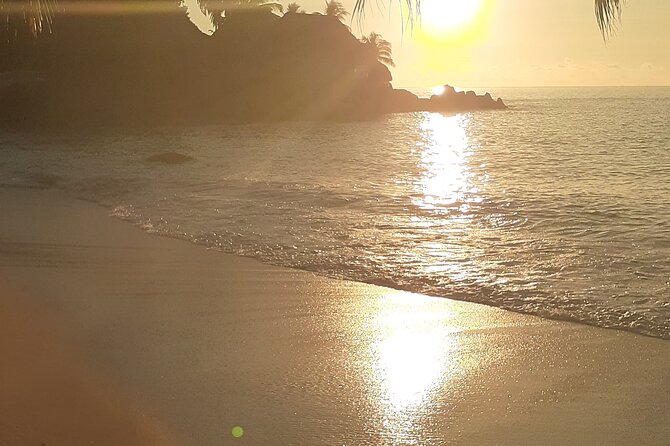 Taxi Service & Mahe Island Tours