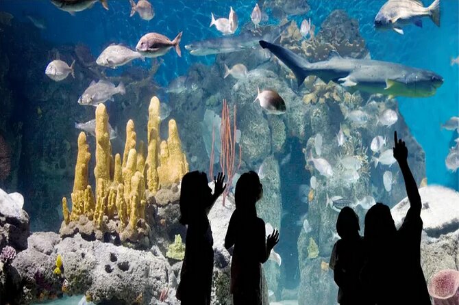 Temaiken Biopark Buenos Aires Tour