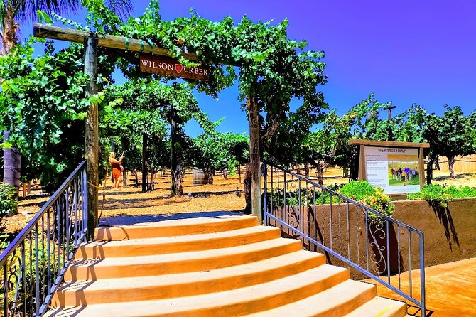 Temecula Wine Tour From Los Angeles - Exploring Temeculas Vibrant Vineyards