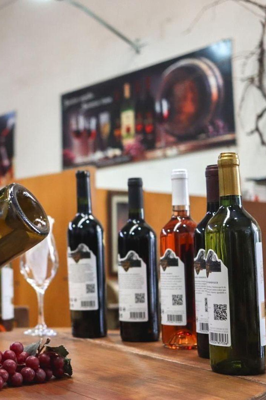Tequisquiapan: UTV Adventure With Winery and Cheese Tasting