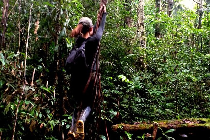 The Adventure Begins Here - Iquitos Amazon Tours - Tour Overview and Details