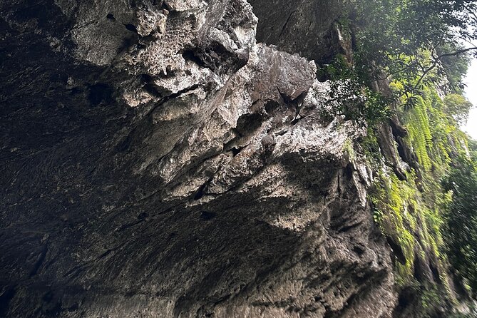 The Best Private Tour to Jungle+Rafting+Paragliding+Natural Pool
