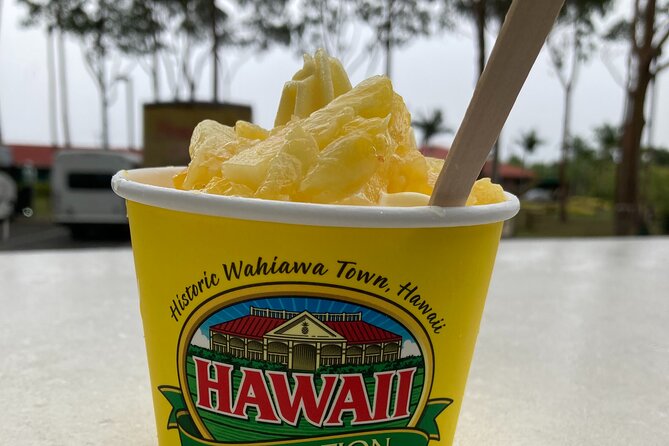 The Dole Plantation & North Shore Private Limousine VIP Tour!