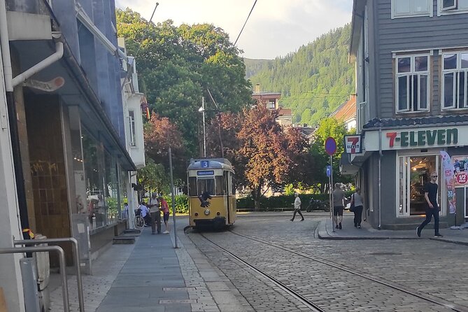 The Influence of Bergen in Norways Development, City Tour - Bergens Historical Significance