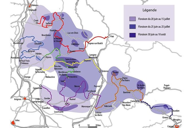 The Lavender Tour From Marseille or Aix En Provence
