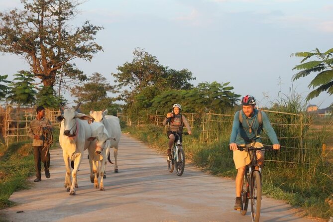 The Mekong Island Biking Tour and Lunch With Farmers