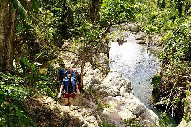 The Original El Yunque Rainforest Waterslide Tour
