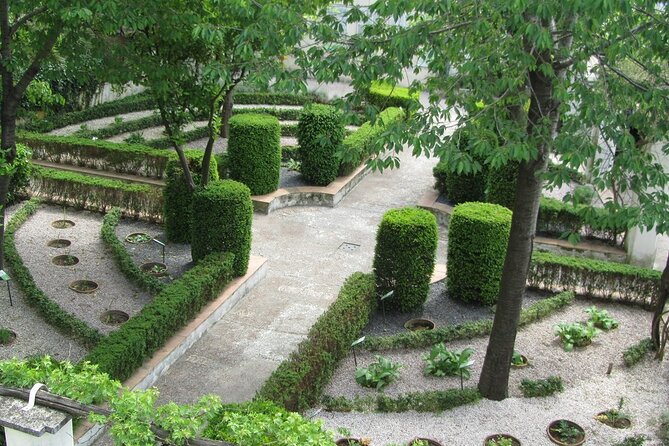 The Private Walking Tour of the Historical Center of Salerno - Pick-Up Information