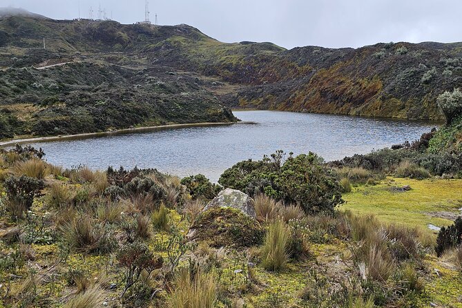 The Rejuvenating Thermal Springs of Papallacta (Private Tour)