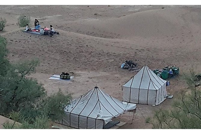 The Secret of the Camel Trekking Desert