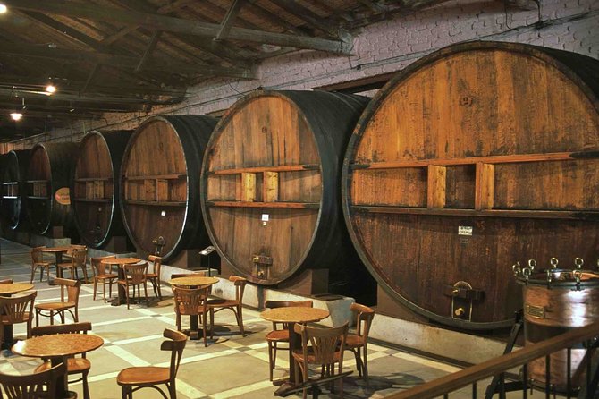 The Wine Route From San Juan