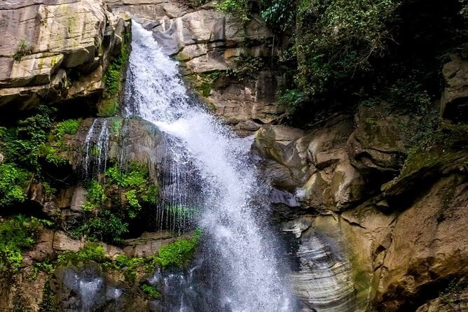 The World’s Most Beautiful Train Trip Kandy to Ella Private Day Tour