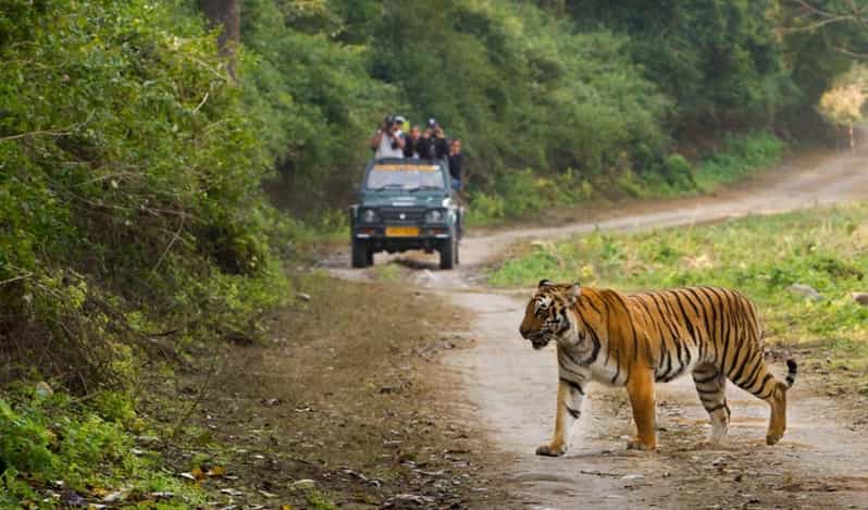 This 2-Day Tiger Safari Tour of Jim Corbett National Park