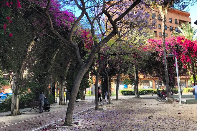 THREE PARKS Private Guided Tour on Bike, E-Bike, E-Step or Segway - Tour Logistics