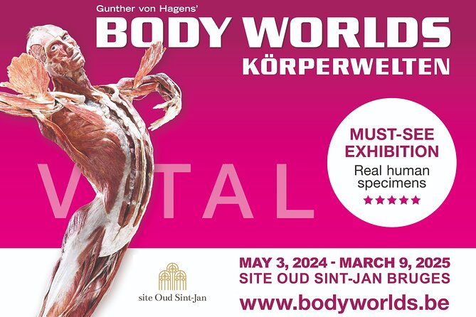 Ticket Expo Body Worlds in Bruges, Belgium