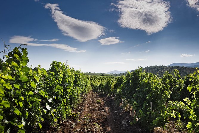 Tikvesh Wine Region