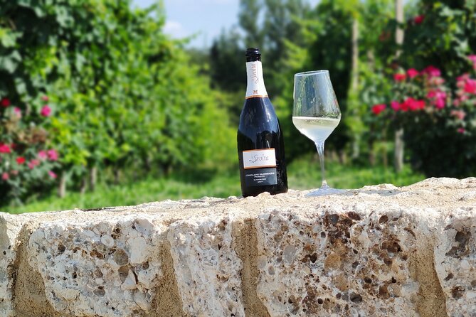Tour and Tasting in the Hills of Prosecco Superiore DOCG