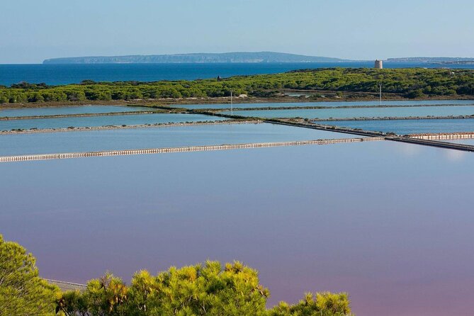 TOUR Around the JEWELS of IBIZA SALT Beds, ES Vedra, TIME & SPACE