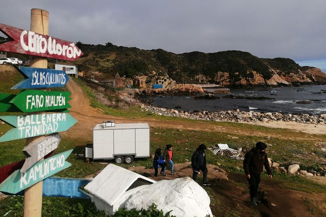 Tour Around the Shore of the Peninsula De Hualpén
