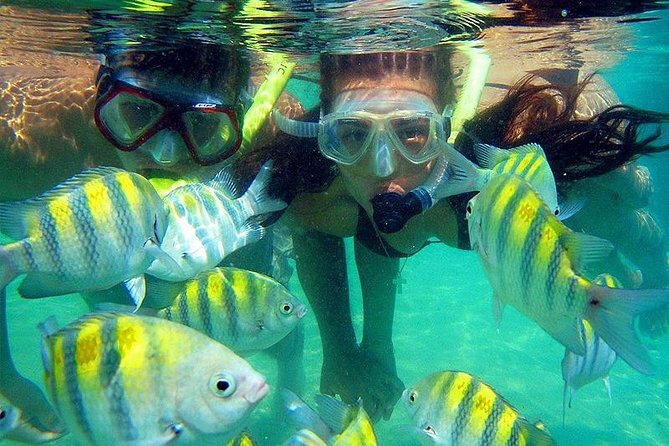 Tour Cinto Tayrona Park.