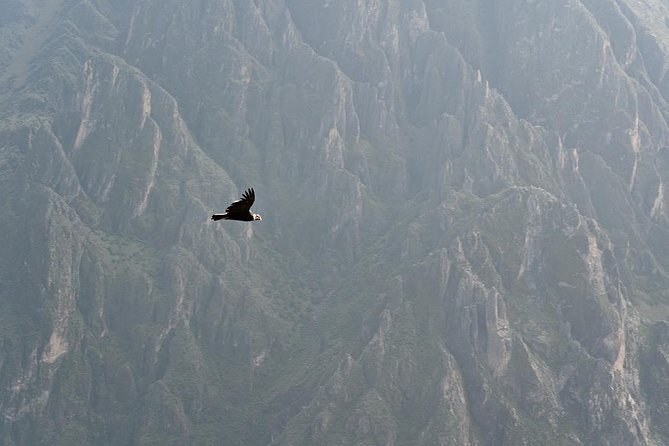 Tour Colca Canyon 2d -1n From Arequipa, Ending In Puno