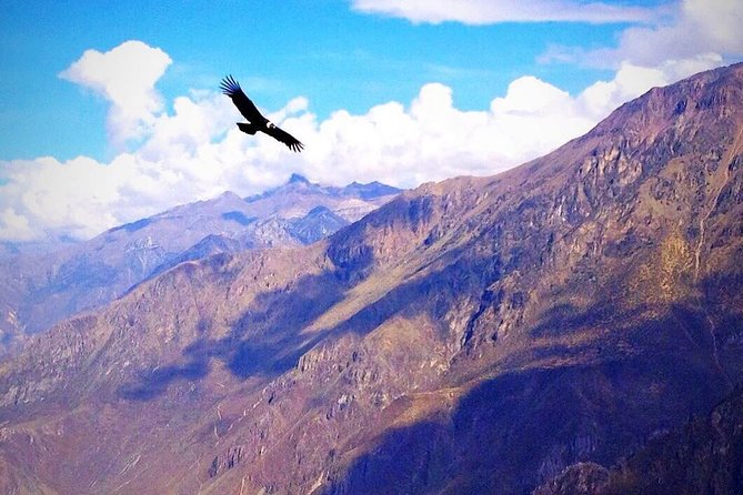 TOUR COLCA CANYON 2D – 1N (Shared Service)