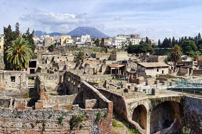 Tour Herculaneum Archaeological Park and Mount Vesuvius