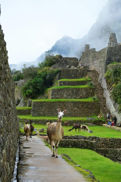TOUR MACHUPICCHU WITH VISTADOME TRAIN