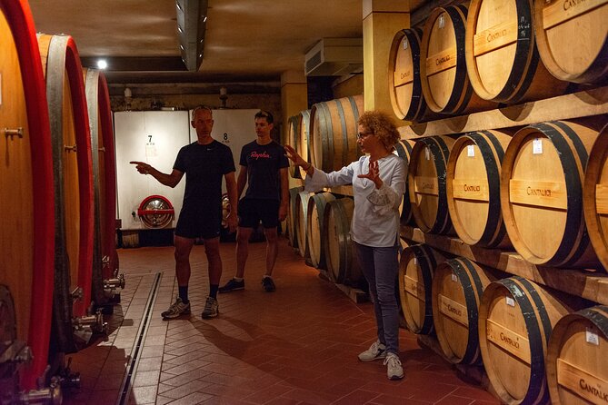 Tour of the Cellar and Tasting of 6 Wines - Overview of the Tour