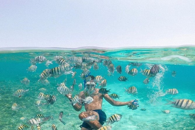 Tour Rosario Islands Mas Plankton